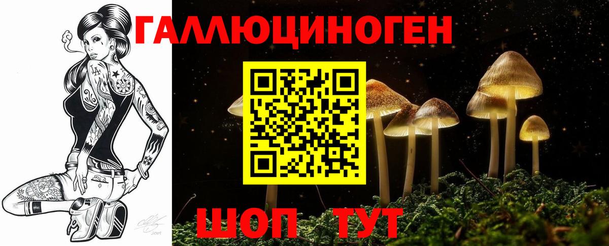 Псилоцибиновые грибы мицелий Михайловск